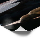 Pier 39 Seelöwen Poster (Ecke)