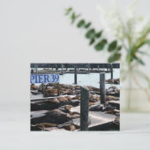 Pier 39 Seelöwen Postkarte (Stehend Vorderseite)