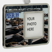 Pier 39 Seelöwen Rahmen-Ornament Silber (Rechts)