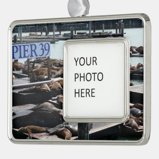 Pier 39 Seelöwen Rahmen-Ornament Silber (Links)