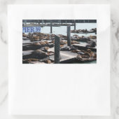 Pier 39 Seelöwen Rechteckiger Aufkleber (Tasche)