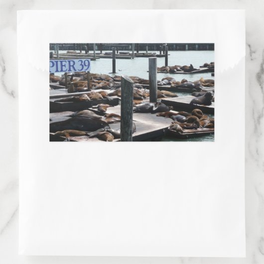 Pier 39 Seelöwen Rechteckiger Aufkleber (Tasche)