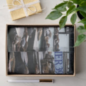 Pier 39 Seelöwen Seidenpapier (Geschenk)