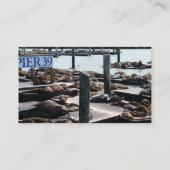 Pier 39 Seelöwen Visitenkarte (Rückseite)