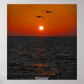 Pier 60 Clearwater, FL Sunset Poster (Vorne)