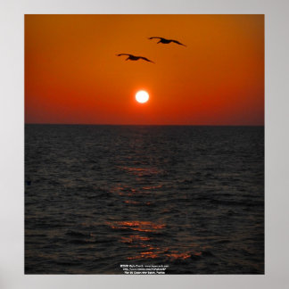 Pier 60 Clearwater, FL Sunset Poster