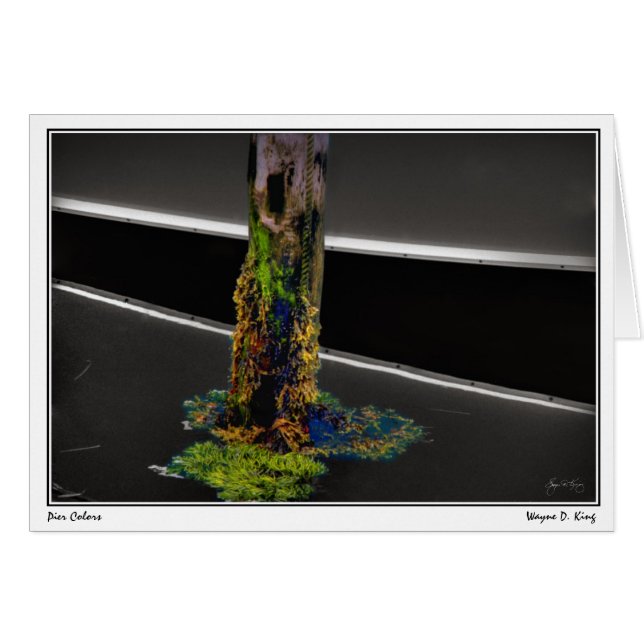 Pier Colors (Vorderseite (Horizontal))