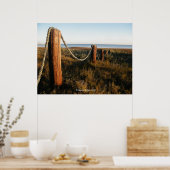 Pier Posts Poster (Küche)