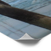 Pier und Waves = Eicheninsel, NC Poster (Ecke)