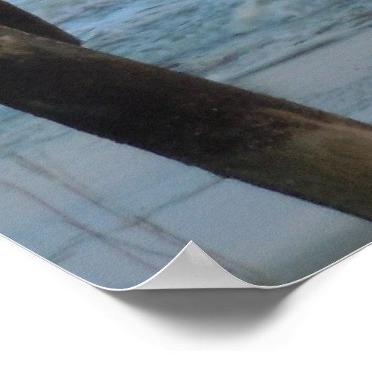 Pier und Waves = Eicheninsel, NC Poster (Ecke)