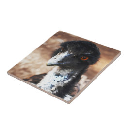 Piercing Eyes of the Outback Fliese