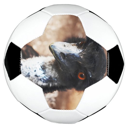 Piercing Eyes of the Outback Fußball (Gedreht)