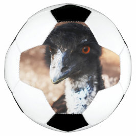 Piercing Eyes of the Outback Fußball