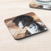 Piercing Eyes of the Outback Getränkeuntersetzer (Linke Seite)