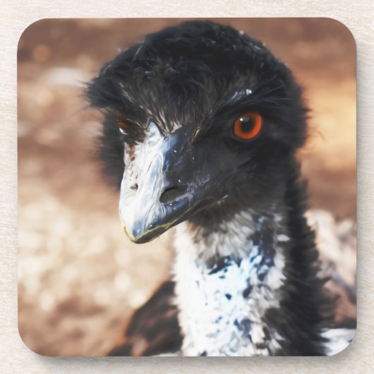 Piercing Eyes of the Outback Getränkeuntersetzer (Vorderseite)