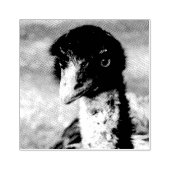 Piercing Eyes of the Outback Gummistempel (Prägung)