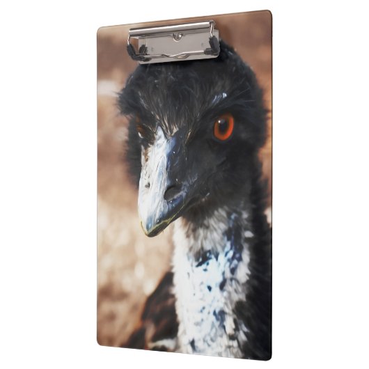 Piercing Eyes of the Outback Klemmbrett (Links)