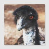 Piercing Eyes of the Outback Magnetic Card Magnetkarte (Vorderseite)