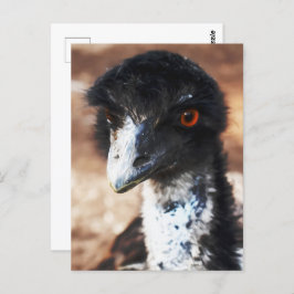 Piercing Eyes of the Outback Postkarte