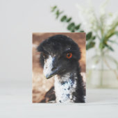 Piercing Eyes of the Outback Postkarte (Stehend Vorderseite)