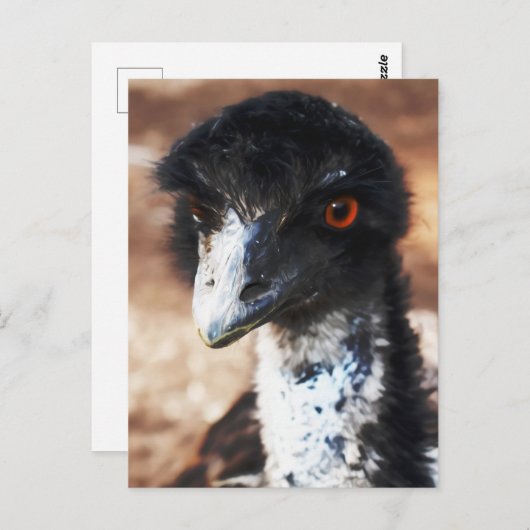 Piercing Eyes of the Outback Postkarte (Vorne/Hinten)