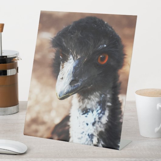 Piercing Eyes of the Outback Sockelschild (In Situ)