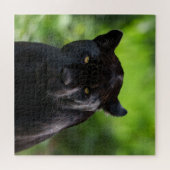Piercing Silence - Black Jaguar Puzzle (Horizontal)