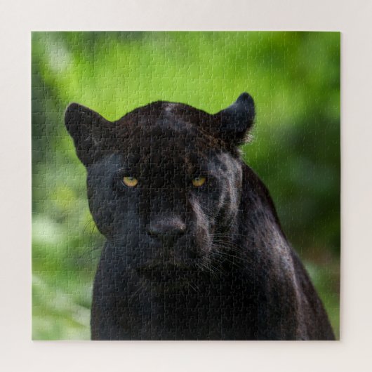 Piercing Silence - Black Jaguar Puzzle (Vertikal)