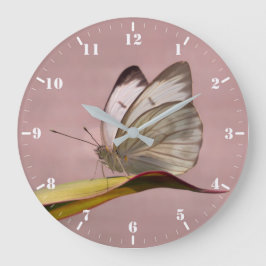 Pieris Garden White Schmetterling Große Wanduhr
