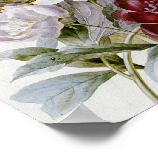 Pierre Joseph Redoute - A Bouquet Peonies Poster (Ecke)