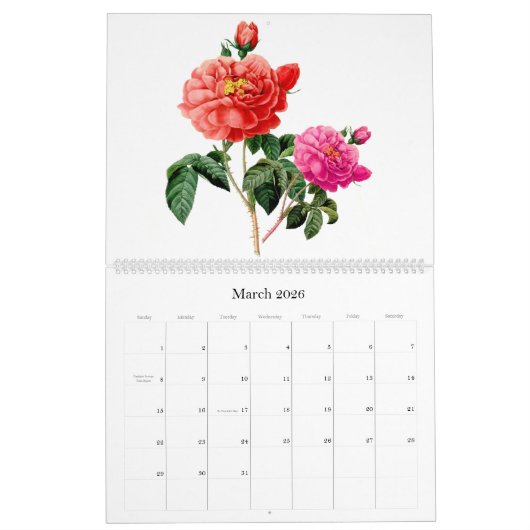 Pierre-Joseph Redouté Botanische Kunst Kalender (Mär 2026)