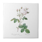 PIERRE-JOSEPH REDOUTÉ "CABBAGE ROSE" KERAMIK TITEL FLIESE (Vorderseite)