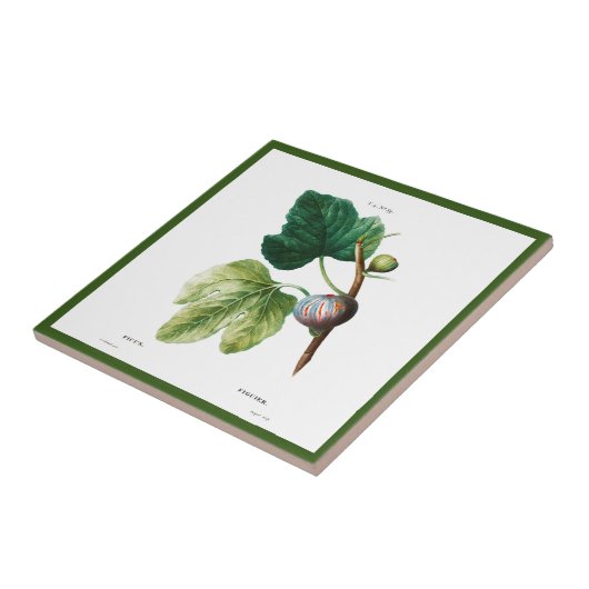 PIERRE-JOSEPH REDOUTÉ "FEIS" KERAMIK TITEL FLIESE (Seite)