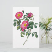 Pierre Joseph Redoute Rose Briefpapier (Stehend Vorderseite)