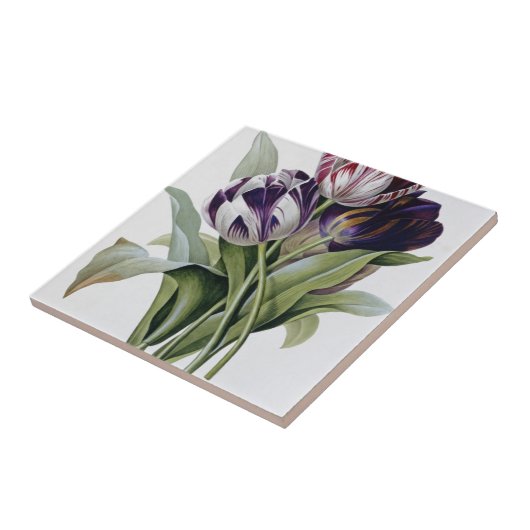 Pierre Joseph Redoute - Tulips Fliese (Seite)