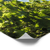 Piesport Moselle Vintage Weintrauben Poster (Ecke)