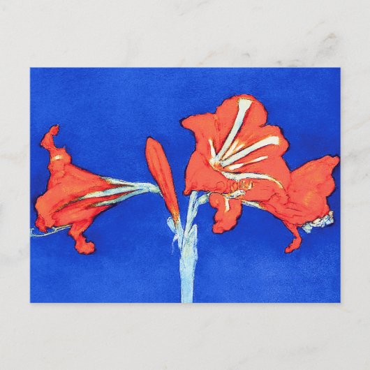 Piet Mondrian - Amaryllis Blume Malerei Postkarte (Vorderseite)