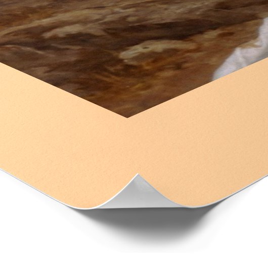 Pieta von Bouguereau Poster (Ecke)