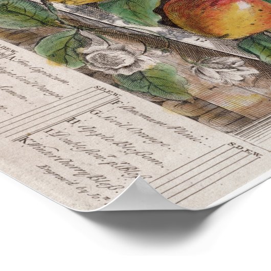 Pieter Casteels, Zwölf Monate Obst, April Poster (Ecke)