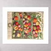 Pieter Casteels, Zwölf Monate Obst, August Poster (Vorne)