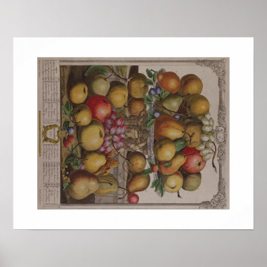 Pieter Casteels, Zwölf Monate Obst, Dezember Poster (Vorne)