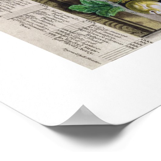 Pieter Casteels, Zwölf Monate Obst, Juni Poster (Ecke)