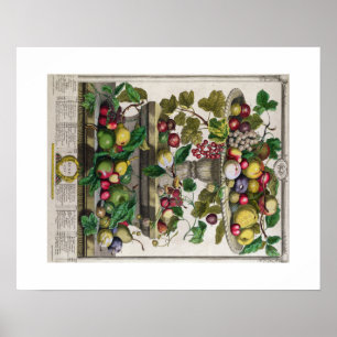 Pieter Casteels, Zwölf Monate Obst, Juni Poster