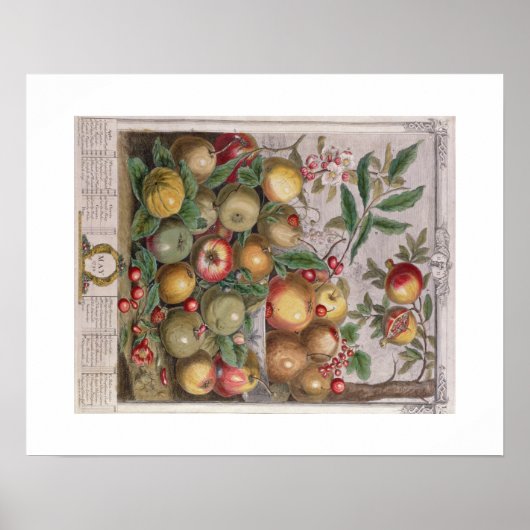 Pieter Casteels, Zwölf Monate Obst, Mai Poster (Vorne)