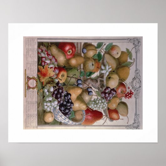 Pieter Casteels, Zwölf Monate Obst November Poster (Vorne)
