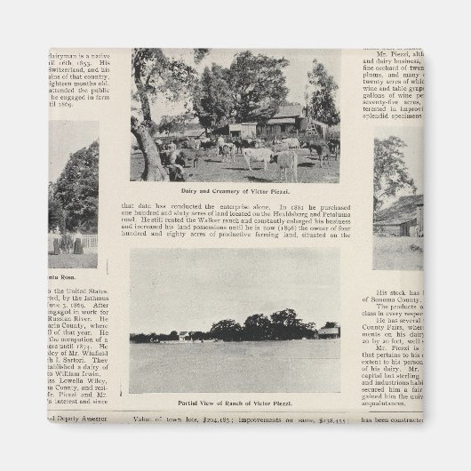 Piezzi Ranch, Harris Vineyard, Kalifornien Magnet (Vorne)