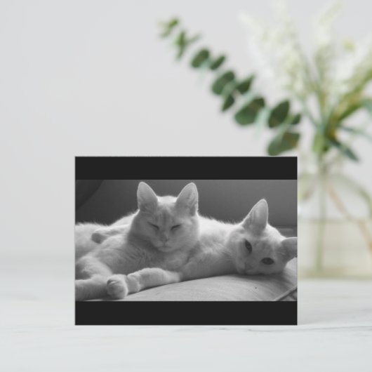 Piff und Puff Postkarte (Stehend Vorderseite)