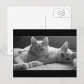 Piff und Puff Postkarte (Vorne/Hinten)