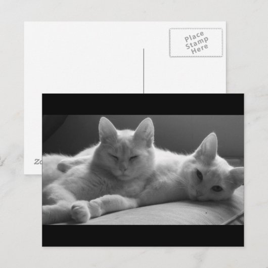 Piff und Puff Postkarte (Vorne/Hinten)