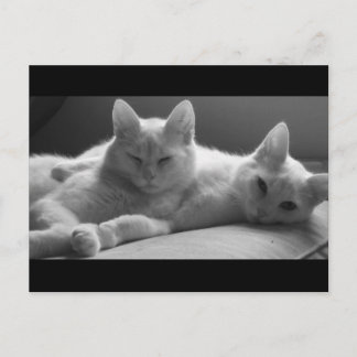 Piff und Puff Postkarte